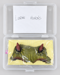 Andy Hallett's Original "Lorne" Horns Prosthetic — Angel Production Prop
